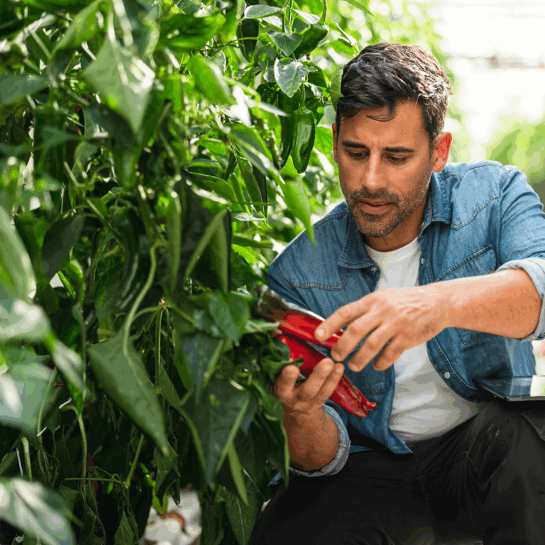 Overgaag Services B.V. 2