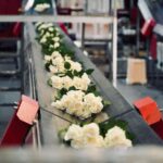 Meijer2023 09 22 o 09.26.12 5