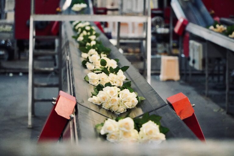 Meijer2023 09 22 o 09.26.12 5